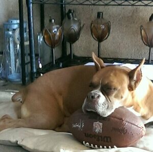 Fundraising Page: Mary-Catherine Armstrong